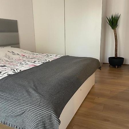 The Botanic Corner Apartment Breslavia Exterior foto